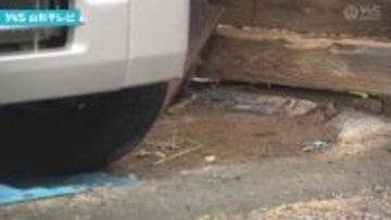 鶴岡市の物置小屋にクマが居座り、緊急銃猟で駆除