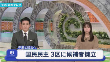 国民民主 3区に候補者擁立