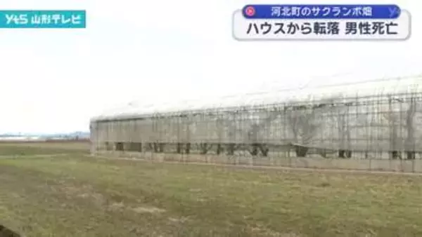 ビニールハウスから転落 80歳の男性死亡　サクランボ畑でハウスの補修作業中