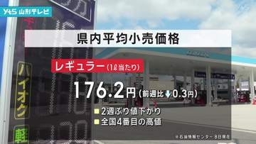 レギュラーガソリン平均小売価格「176.2円」2週ぶりの値下がり