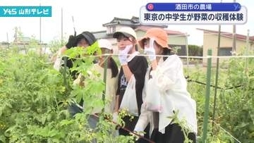 都内の中学生が酒田市で農作業体験