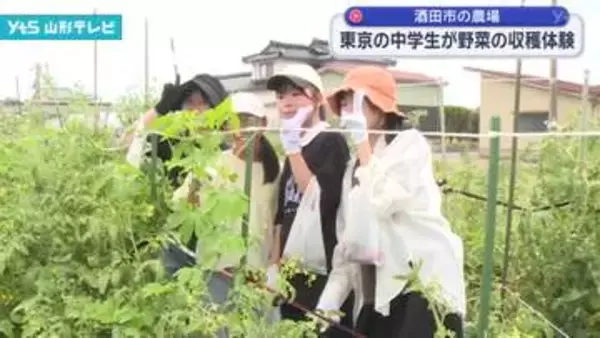 都内の中学生が酒田市で農作業体験