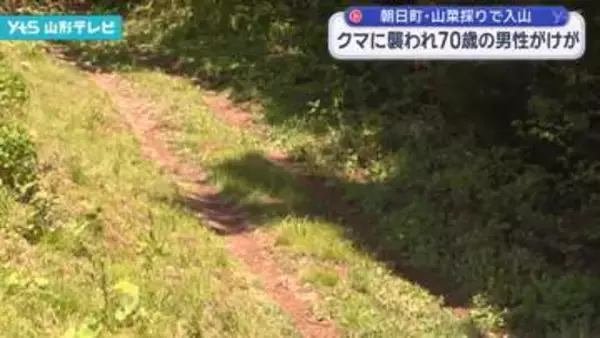 山菜採りをしていた70歳の男性がクマに襲われけが　県内で今年初めてのクマによる人的被害
