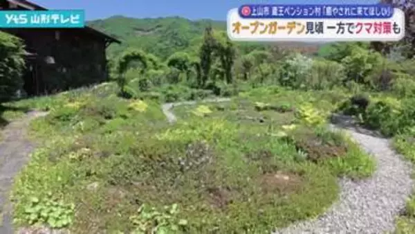 上山市蔵王ペンション村 オープンガーデン見頃 一方でクマへの対策も