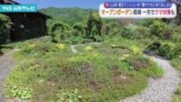 上山市蔵王ペンション村 オープンガーデン見頃 一方でクマへの対策も