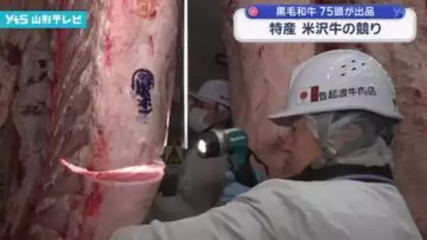 置賜地方で肥育された黒毛和牛75頭が出品　米沢牛の競り 平均価格は昨年を上回る