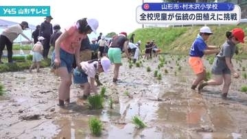 山形市の小学校で伝統の全校児童田植え　児童たちが手植えに挑戦