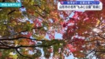 山形市の名所「もみじ公園」見頃に
