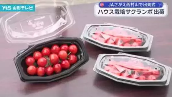 ハウス栽培サクランボ出荷 寒河江市で出発式 出荷のピークは来月10日頃