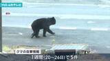「今年度初のクマ出没注意報 県が発表 市街地での1週間に5件の目撃情報」の画像1