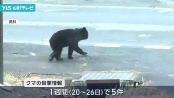 今年度初のクマ出没注意報 県が発表 市街地での1週間に5件の目撃情報