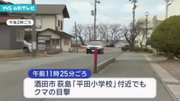 幼稚園と小学校近くにクマ　酒田市