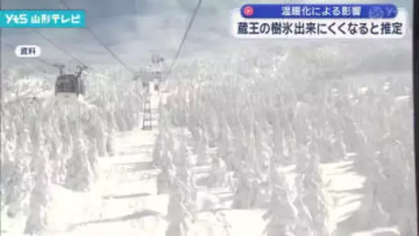 蔵王の樹氷、今世紀末に消滅の危機か 温暖化が影響