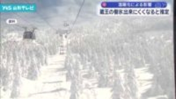 蔵王の樹氷、今世紀末に消滅の危機か 温暖化が影響