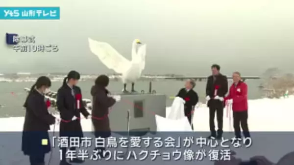 酒田市　新たなハクチョウ像復活