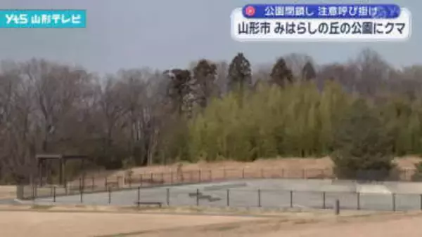 山形市 みはらしの丘の公園にクマ