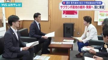 サクランボ産地の維持・発展へ　国に支援の強化を要望