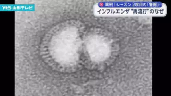 インフルエンザ「再流行」なぜ