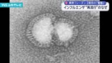 インフルエンザ「再流行」なぜ
