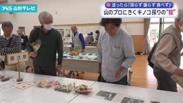 山のプロに聞く キノコ採りの“掟” 迷ったら「採らず 譲らず 食べず」