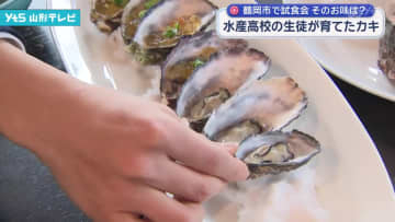 県立加茂水産高校の生徒たちが育てたカキの試食会