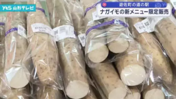 ナガイモの新メニュー 限定販売