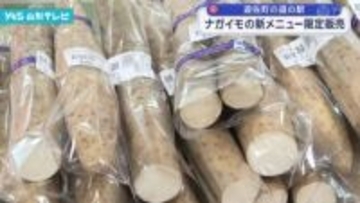 ナガイモの新メニュー 限定販売