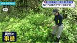 「悩む”山菜のプロ”　相次ぐクマ被害で初めて調査会を中止「吉村知事の言葉も心に響いた」」の画像1