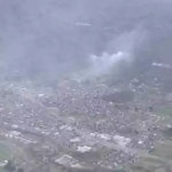 上山市の林野火災　鎮火を確認　下草や木など約9ヘクタールが焼ける