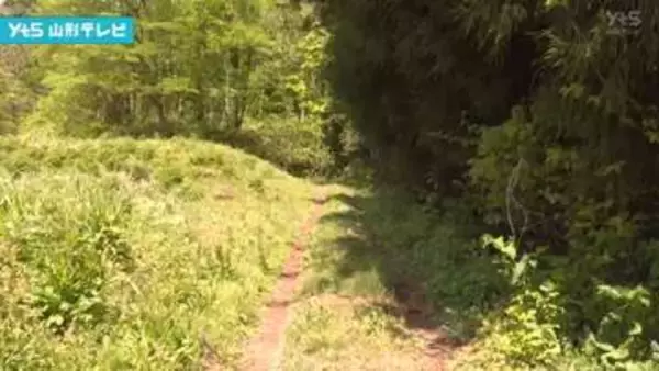 クマに襲われ男性けが　朝日町の山で山菜採り中、頭や顔を引っかかれる
