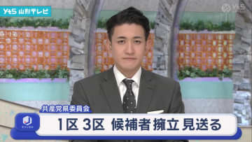 1区 3区 候補者擁立 見送る