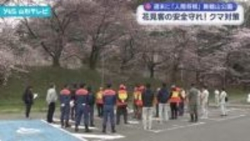 天童市の舞鶴山公園では週末に恒例イベント「人間将棋」花見客の安全守れ！クマ対策