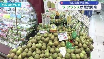 ラ・フランス販売開始