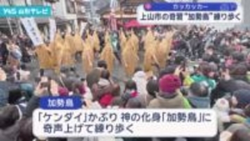 上山の奇習　加勢鳥練り歩く