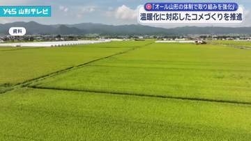 温暖化に対応したコメづくりへ オール山形の体制で取り組みを強化