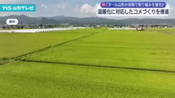 温暖化に対応したコメづくりへ オール山形の体制で取り組みを強化