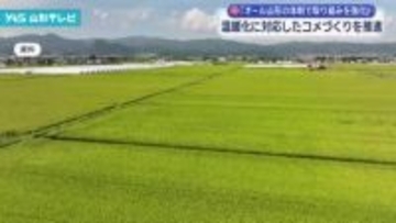 温暖化に対応したコメづくりへ オール山形の体制で取り組みを強化