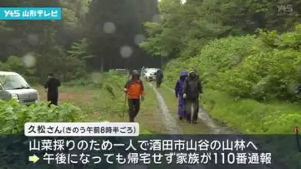 【山形】山菜採りの男性（７８）帰宅せず遭難か