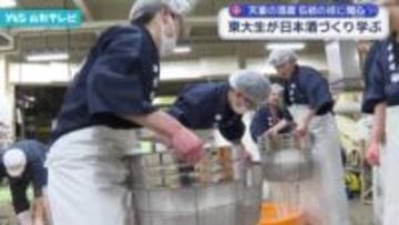 東京大学の学生6人が天童市の酒蔵で日本酒作りを体験