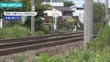 「山形市の市街地でニホンジカの目撃相次ぐ」の画像1