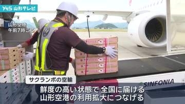 県産サクランボ空輸 第一便が出発　鮮度の高い状態で全国へ輸送