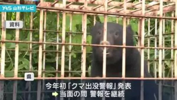 今年初のクマ出没警報発表 市街地での目撃が相次ぐ