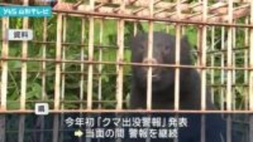 今年初のクマ出没警報発表