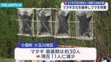 「マタギ文化を継承　小玉川熊まつり」の画像1