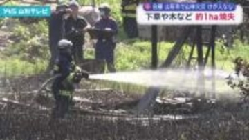 山形市の山林で下草などおよそ1ヘクタールが焼ける
