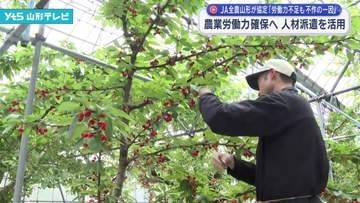 農業労働力確保へ 新たな人材派遣システムを活用 JA全農山形が協定締結「労働力不足も不作の一因」