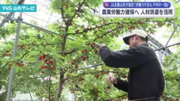 農業労働力確保へ 新たな人材派遣システムを活用 JA全農山形が協定締結「労働力不足も不作の一因」