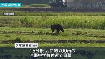 南陽市でクマ1頭を緊急銃猟で駆除 16日から目撃相次ぐ