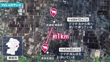 東根市の市街地でクマの目撃情報