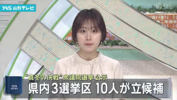 県内3選挙区 10人が立候補